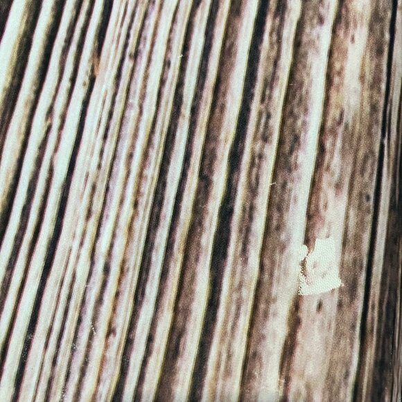 10' x 10' Photo Backdrop Trees Forest Wood Rustic Cloth Fabric 10359 (flaws) - Picture 3 of 5